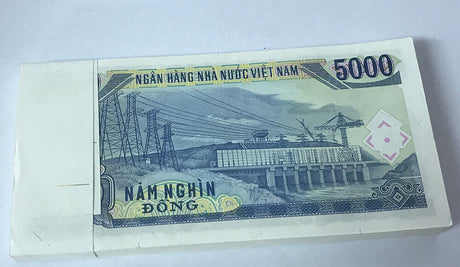 Vietnam 5000 Dong 1991 P 108 AUnc LOT 100 PCS 1 BUNDLE
