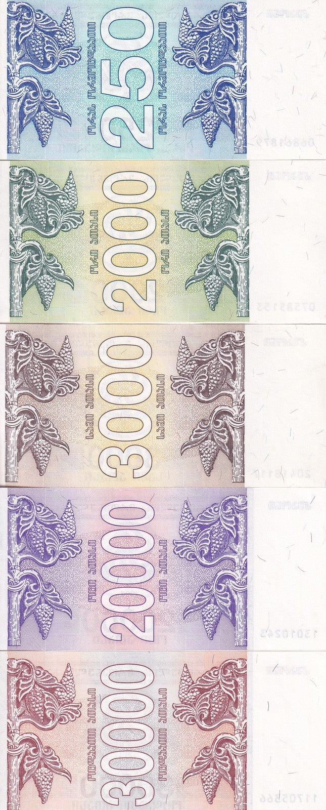 Georgia Set 5 Pcs 250 2000 3000 - 30000 Lari 1993 P 43 44 45 46 47 UNC
