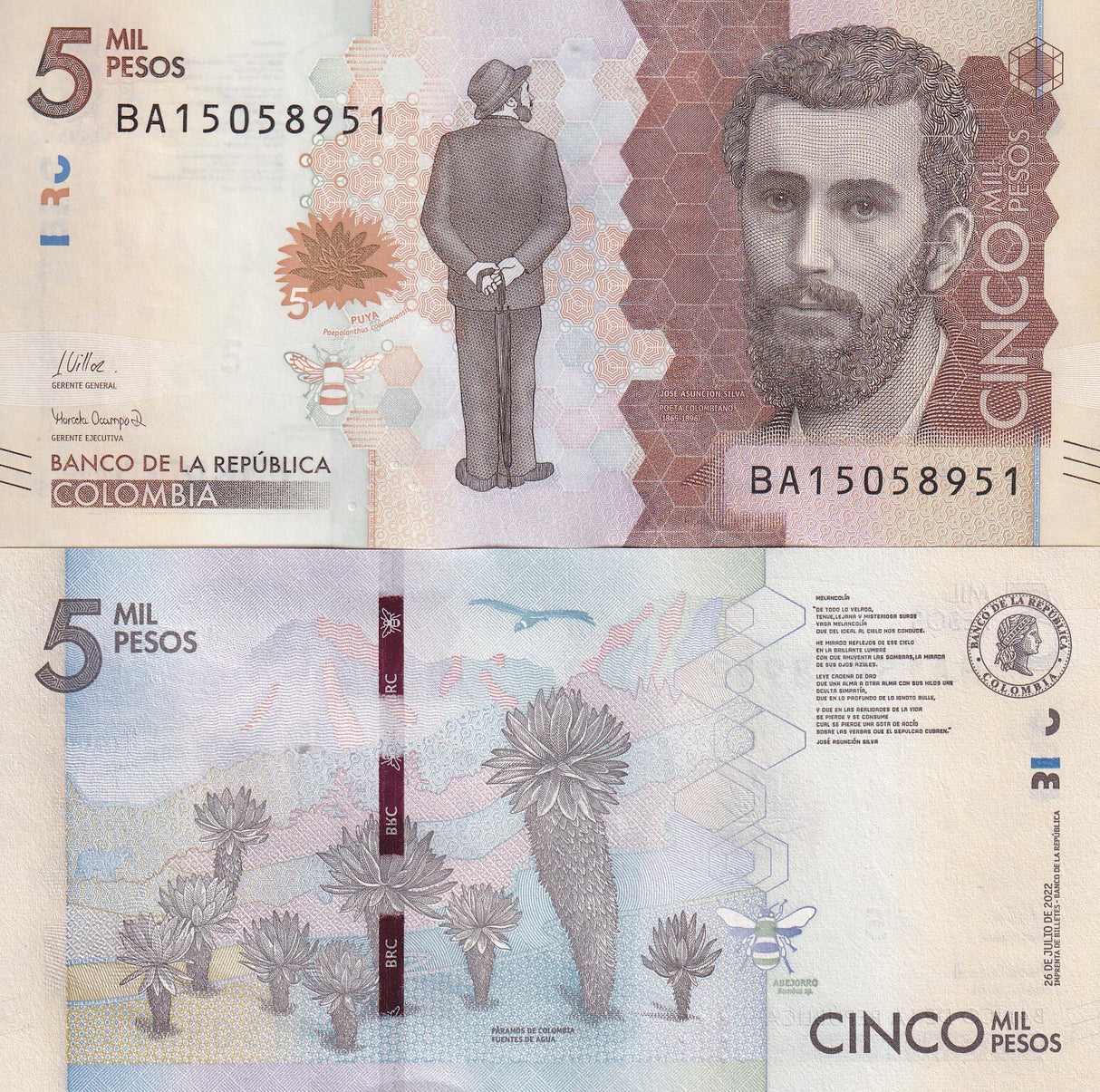Colombia 5000 Pesos 2022 2025 New Sign P 459 g UNC