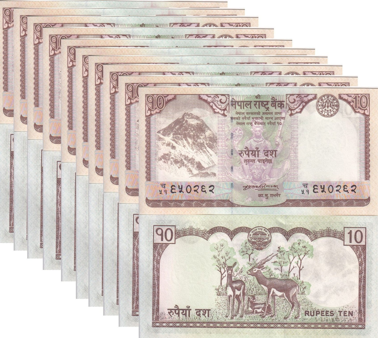 Nepal 10 Rupees 2008 P 61 UNC Lot 10 Pcs