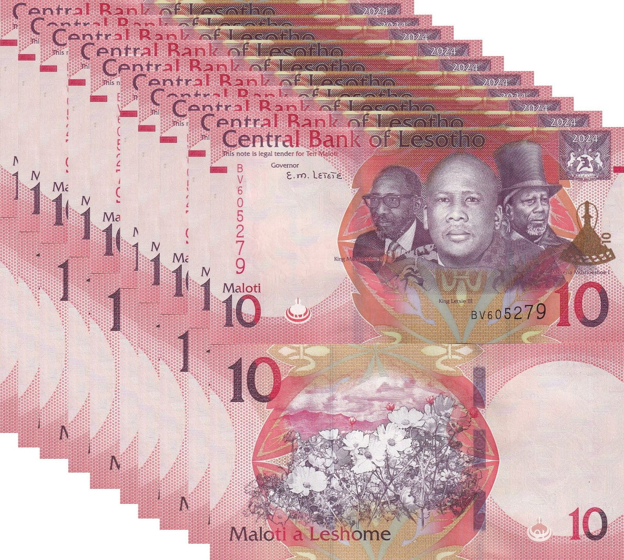 Lesotho 10 Maloti 2024 2025 P New Hybrid UNC LOT 10 PCS