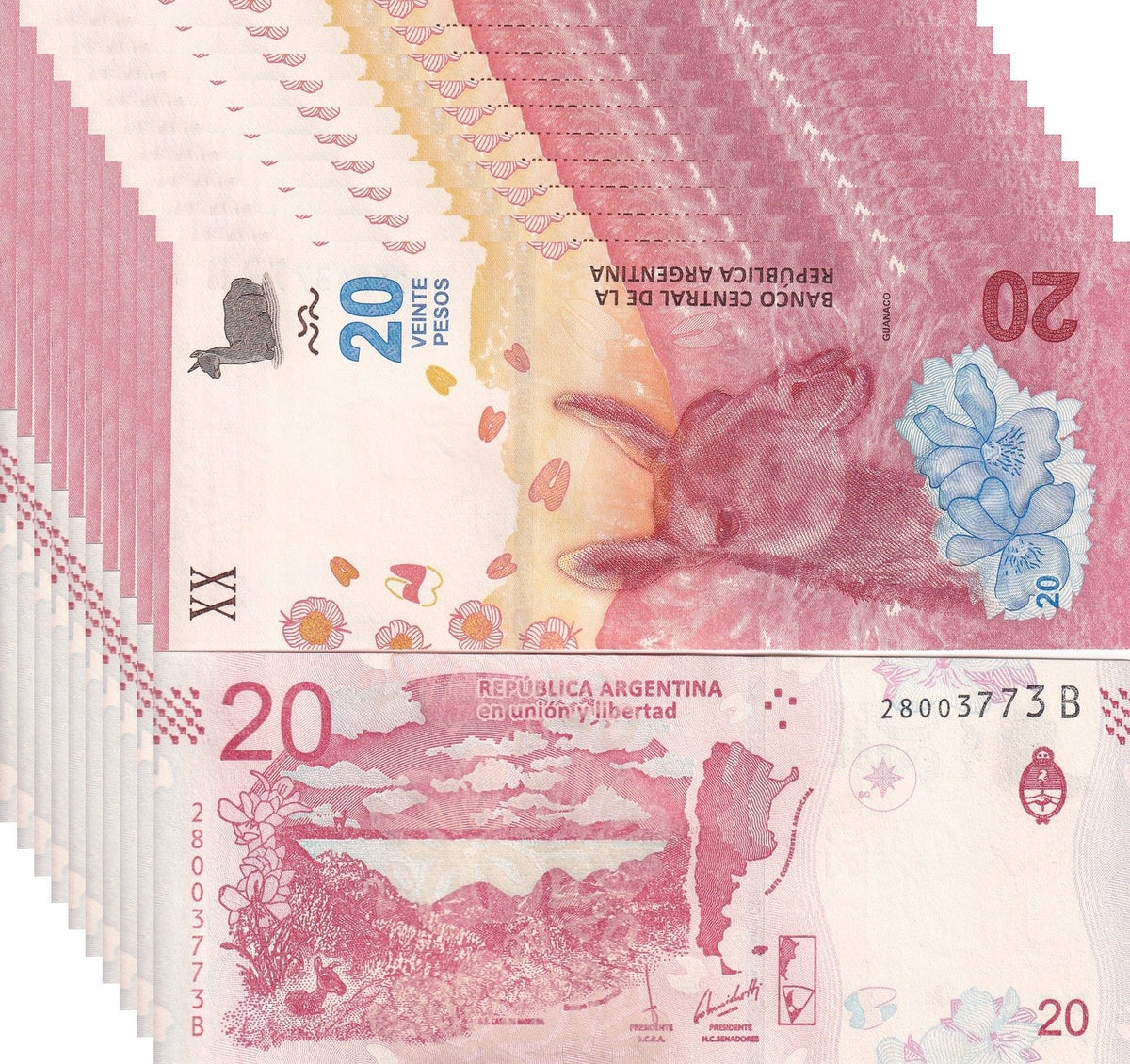 Argentina 20 Pesos ND 2017 P 361 UNC, Banco Central de la LOT 10 PCS