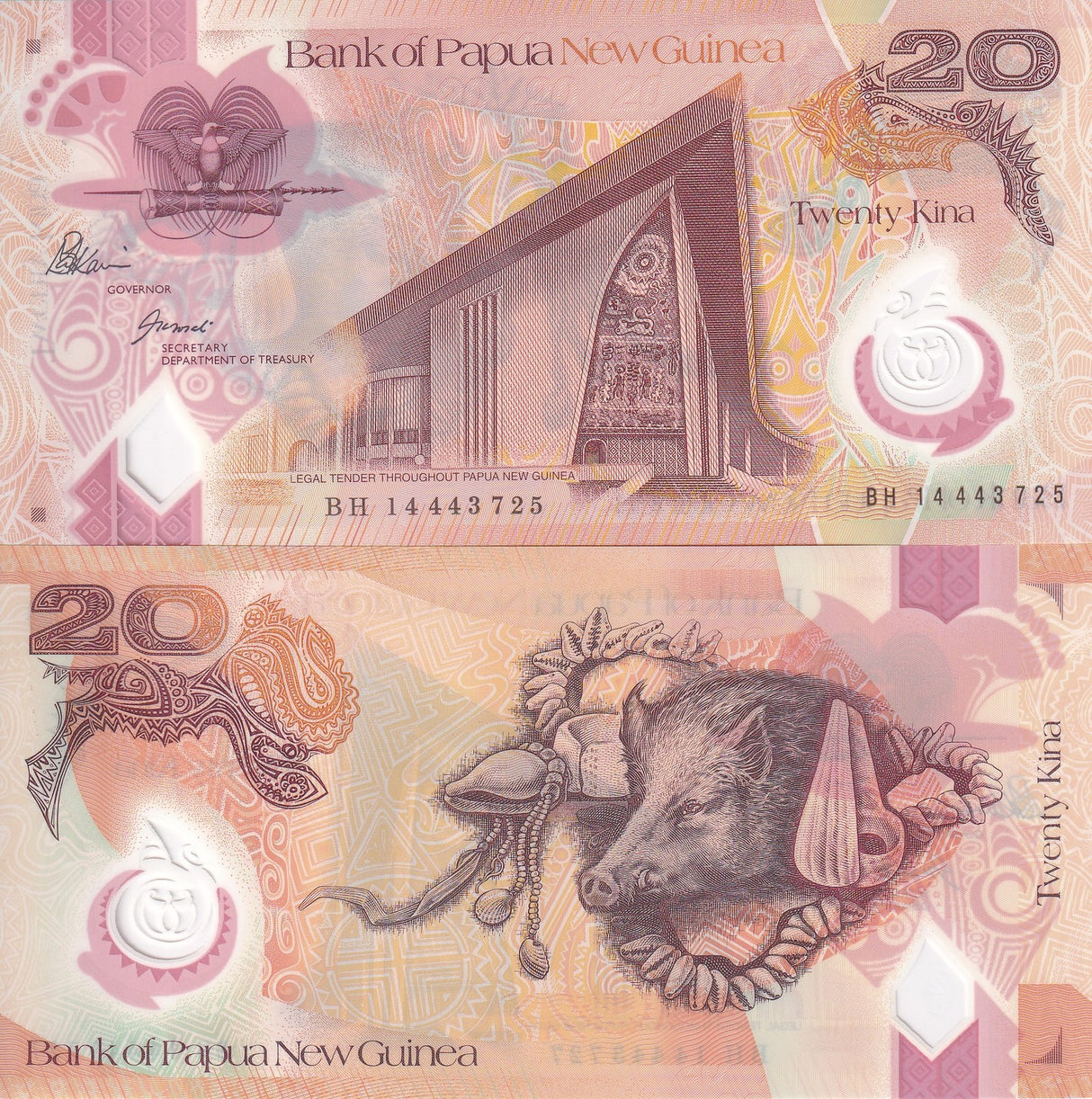 Papua New Guinea 20 Kina 2014 P 31 c Polymer UNC , Boar, conches