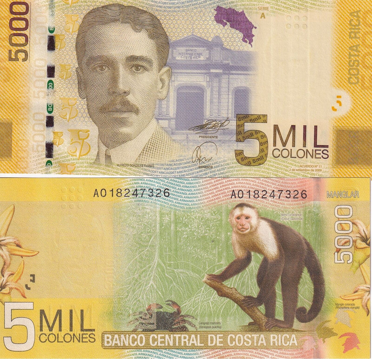 Costa Rica 5000 Colones 2009 P 276 UNC