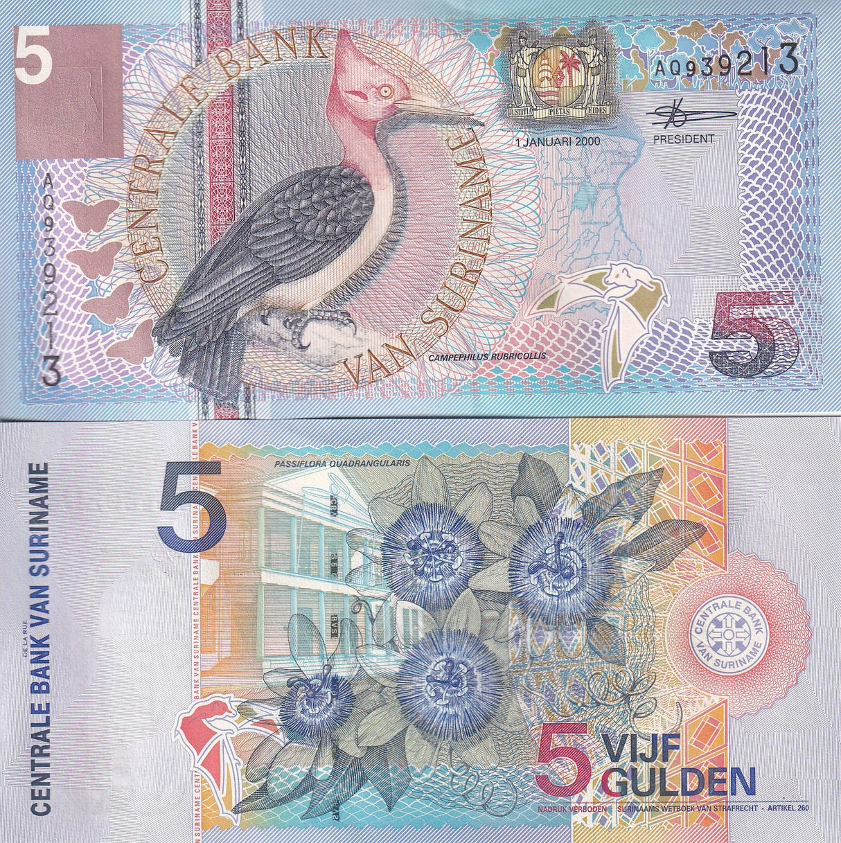Suriname 5 Gulden 2000 P 146 Red-necked woodpecker UNC