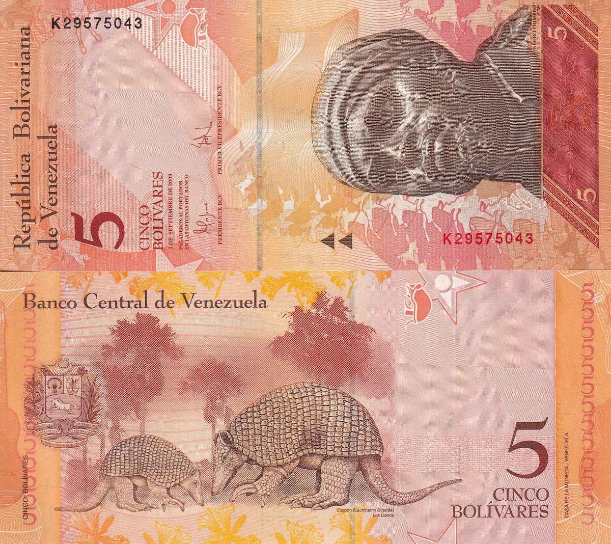 Venezuela 5 Bolivares 2009 P 89 UNC, Pedro Camejo - Negro Primero ,Pangolin