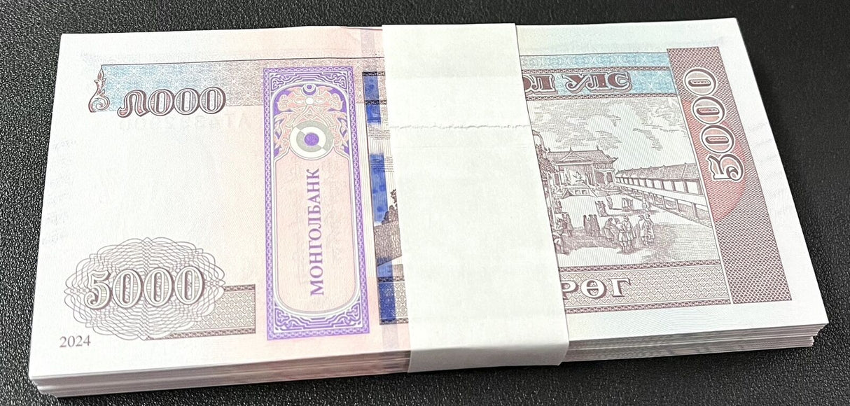 Mongolia 5000 Tugrik 2024 NEW Blind Mark P 76 UNC LOT 100 PCS 1 Bundle