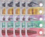 Maldives Set 5 x LOT 5 = 25 UNC 5 10 20 50 100 Rufiyaa 2017-2025 / 2026 Polymer