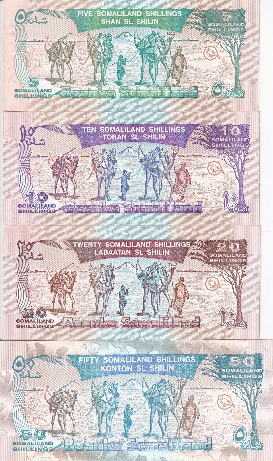 Somaliland SET 4 UNC 5 - 20 50 Shillings 1996 Silver Commemorative P 14 15 16 17
