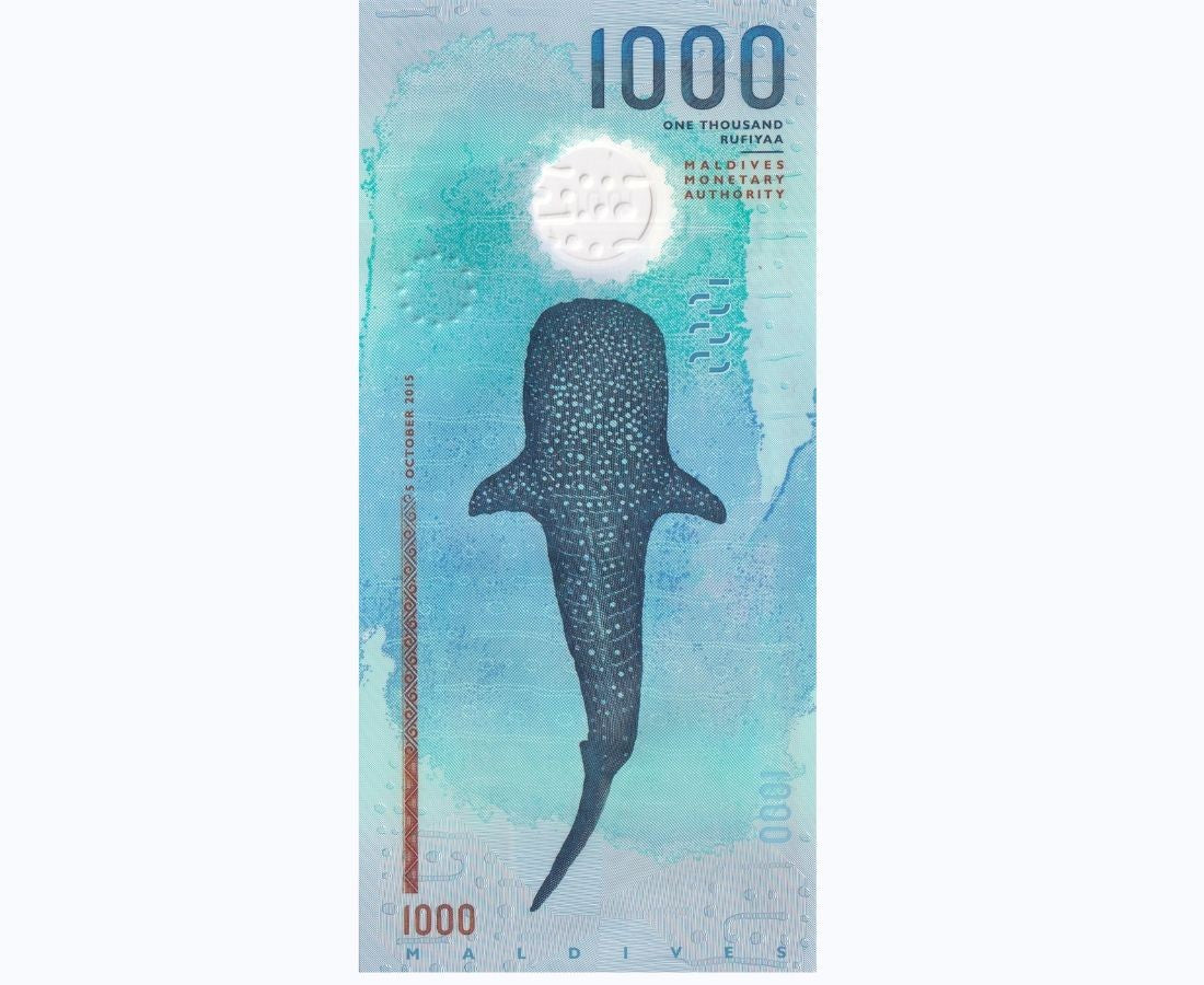 Maldives 1000 Rufiyaa 2015 Polymer P 31 Chelonia mydas Whale shark UNC