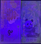 CHINA Test Note 2024 / 2025 Panda / Snake Zodiac Beijing International Coin Exp