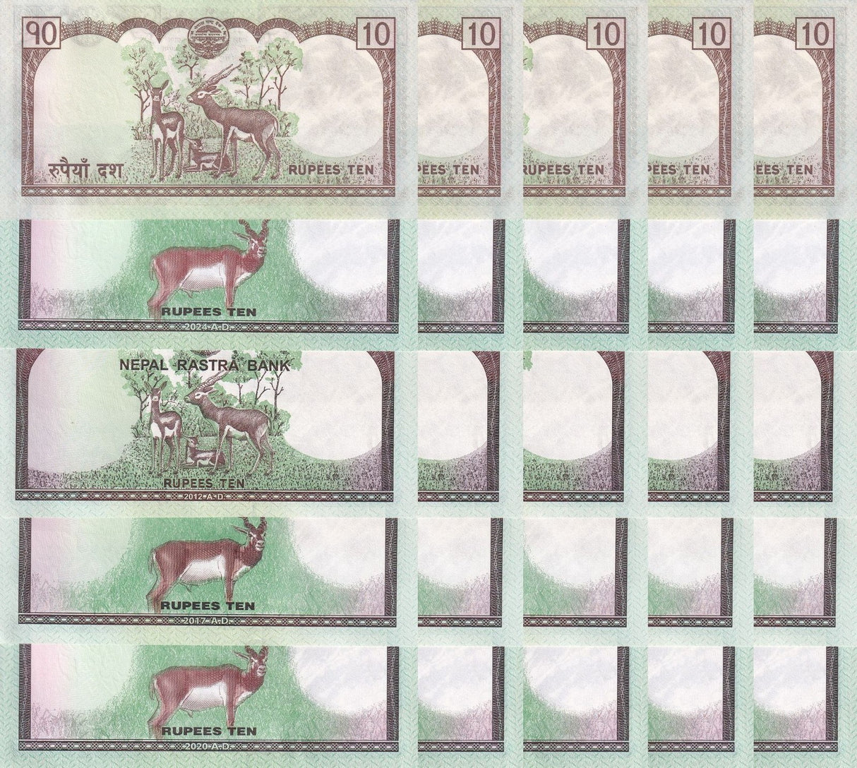 Nepal Set 5 x Lot 5 UNC 10 Rupees 2008 2012 2017 2020 2024