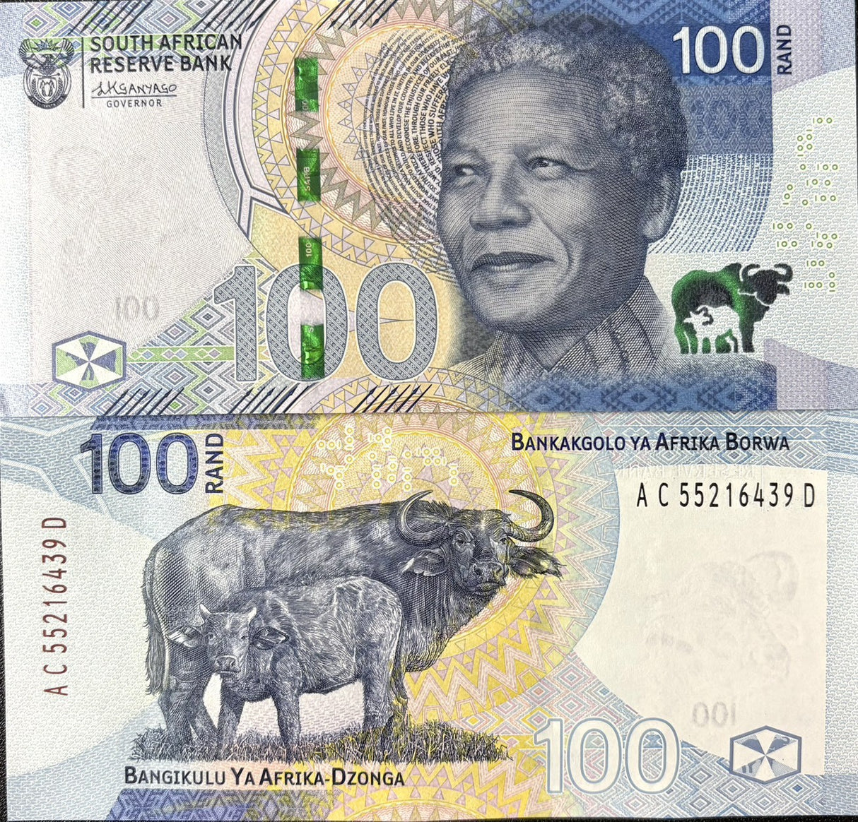 South Africa 100 Rand 2023 P 151 Mandela , Cape buffalos , Crisp , XF