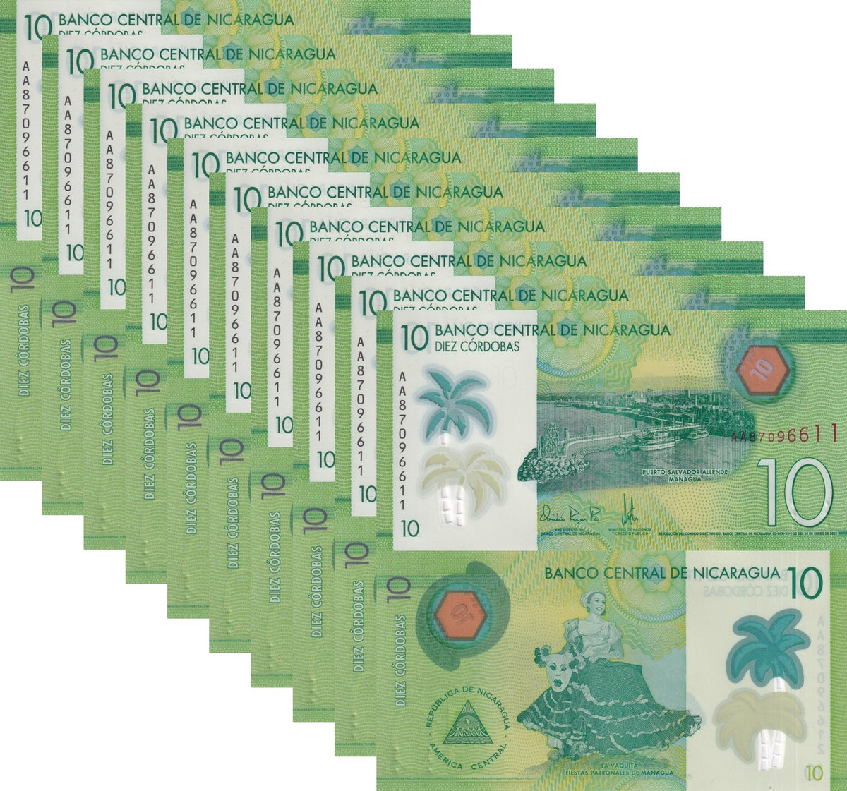 Nicaragua 10 Cordobas 2022 P 209 c Polymer UNC LOT 10 PCS  ,La Vaquita ,Managua