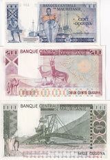 Mauritania SET 3 UNC 100 200 1000 Ouguiya 1975 1977 P 3A 3B 3C TDLR Issued 2024