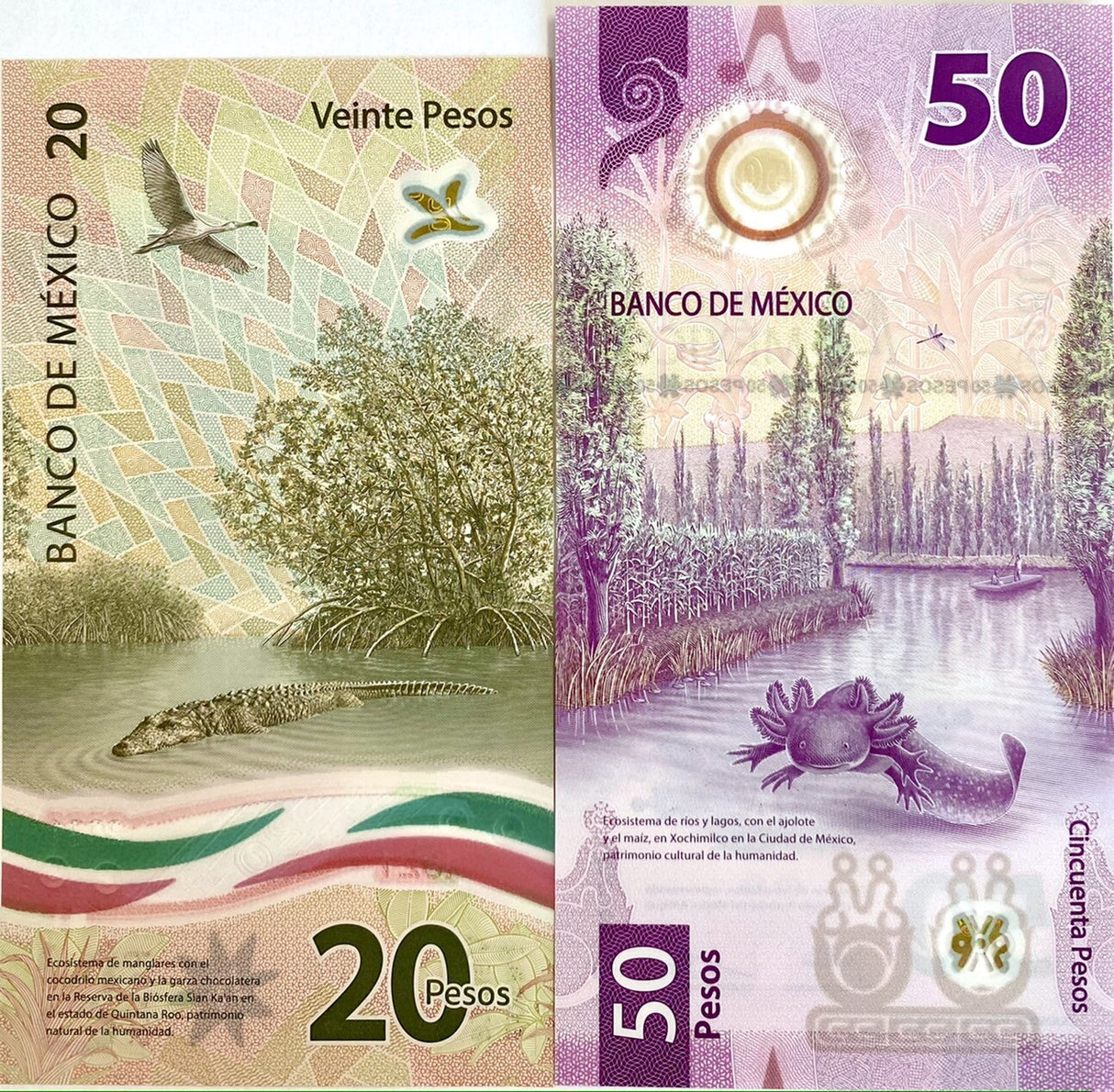 Mexico set 2 Pcs 20 50 Pesos 2021 / 2023 Polymer P 132 133 Mixed Date/Sign UNC