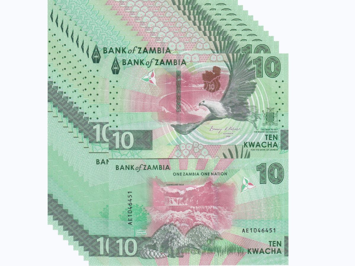 Zambia 10 Kwacha 2024 2025 P 62 Pangolins EAGLE LOT 10 UNC