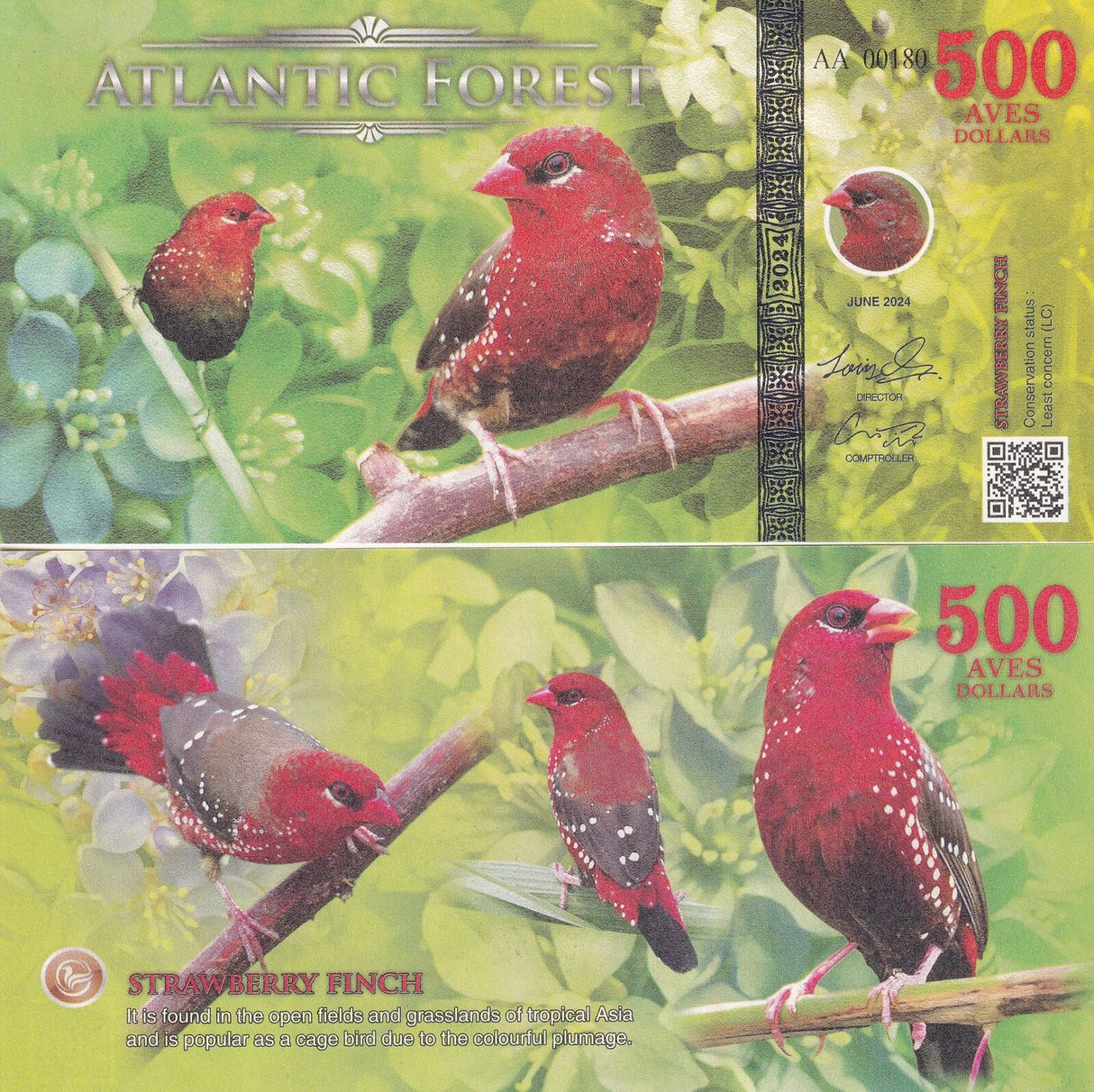 ATLANTIC FOREST Set 3; 100 200 500 AVES MAGPIE WAWING FINCH 2024 Fantasy