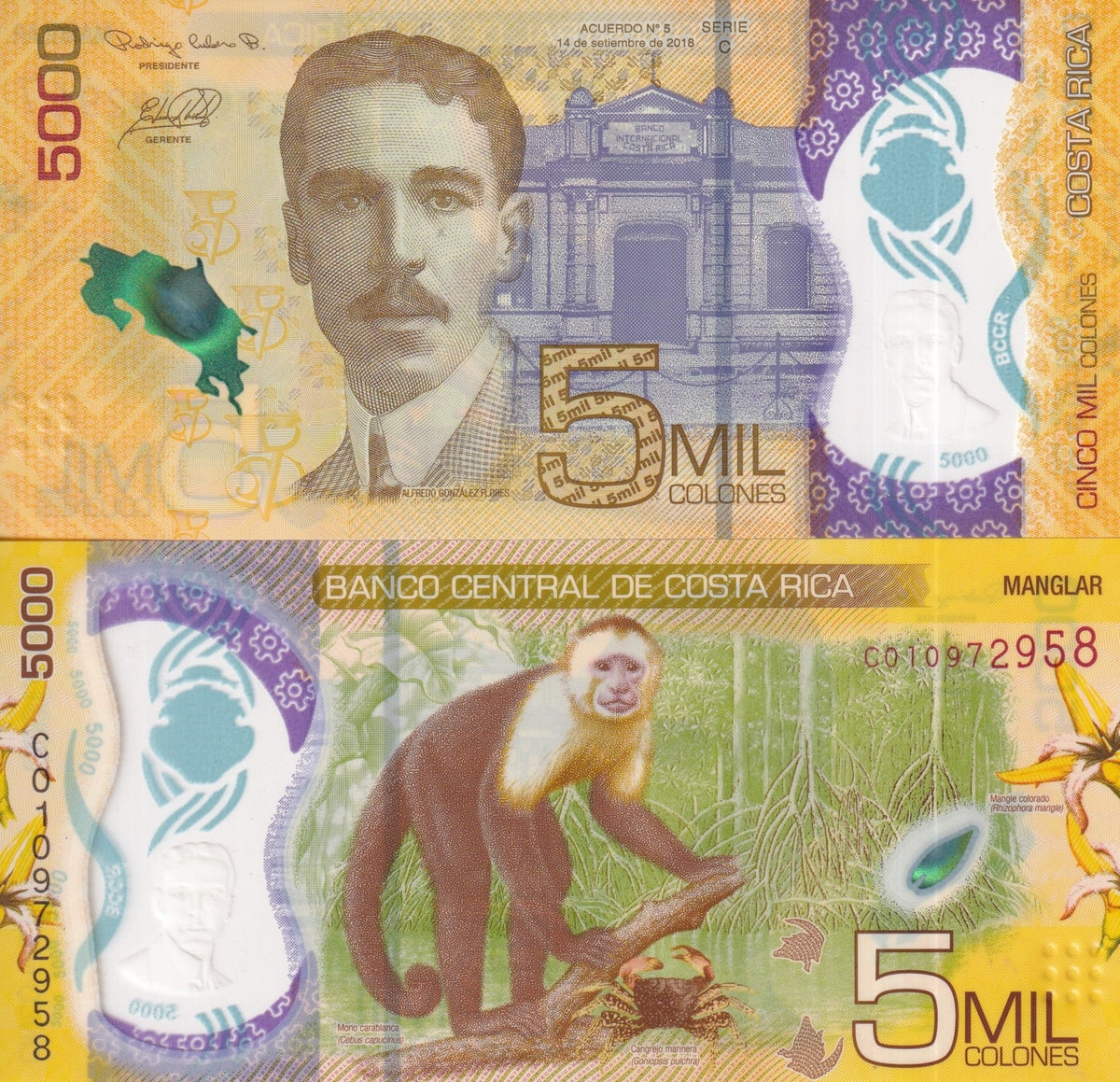 Costa Rica 5000 Colones 2018 ND 2020 P 282 a Polymer UNC ,Mangrove swamp
