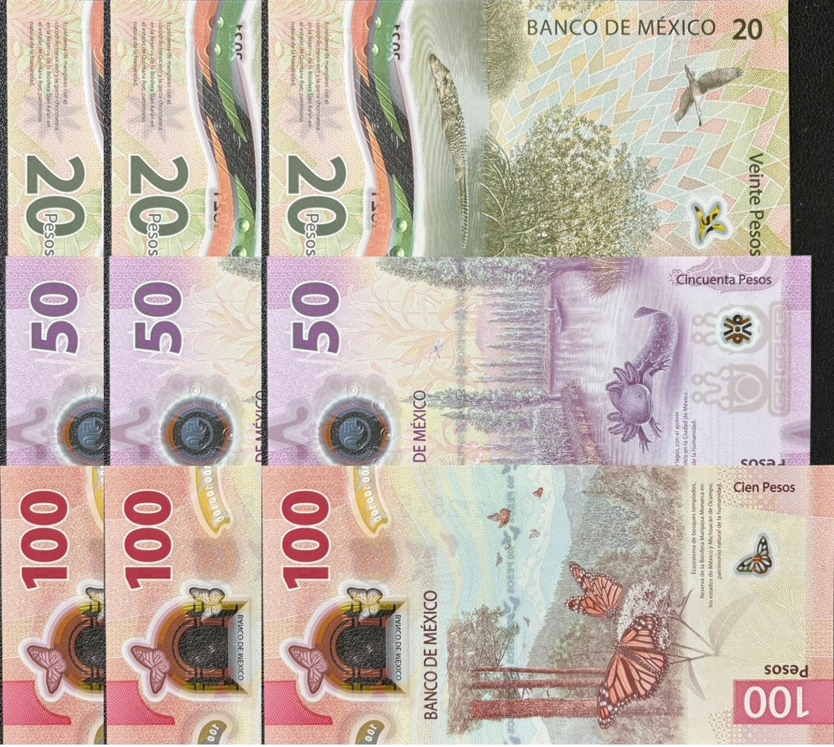 Mexico set 3 x Lot 3 = 9 UNC 20 50 100 Mixed Years Polymer P 131 132 133