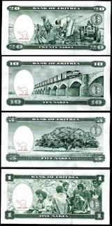 Eritrea Set 4 UNC 1 5 10 20 Nakfa 1997 P 1 2 3 4 Bush school Fieldwork Jacaranda
