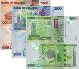 Uganda set 3 UNC 1000 2000 5000 Shillings 2024 P 49 50 51 New Date