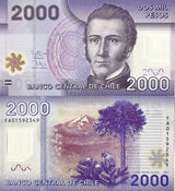 Chile 2000 Pesos 2013 P 162 c Polymer UNC ,Manuel Rodrigues Erdoyza