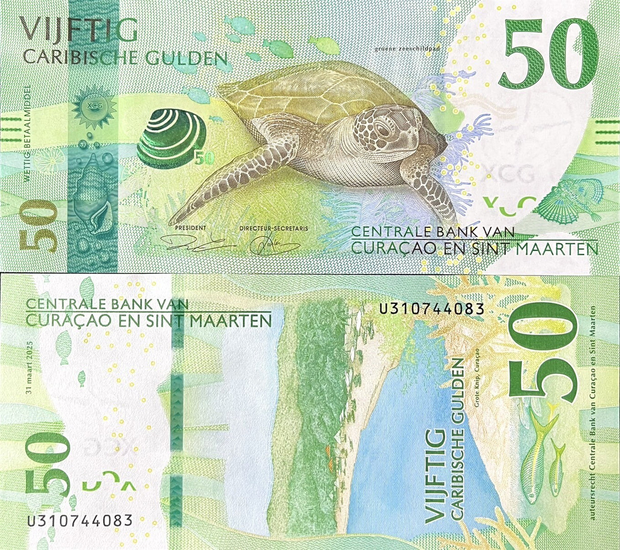Curacao & Sint Maarten 50 Gulden 2025 P 3 Turle AUnc