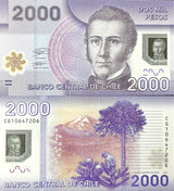 Chile 2000 Pesos 2021 P 162 E Polymer UNC ,Nalcas National Park ,Araucania