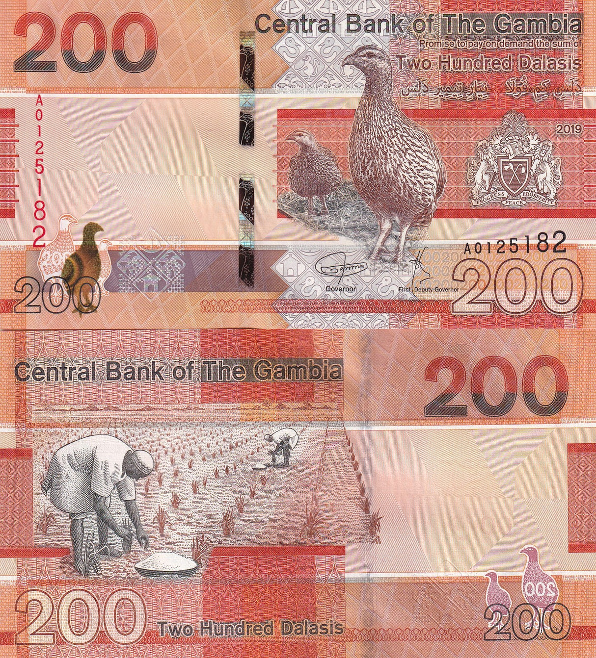 Gambia 200 Dalasis 2019 P 42 UNC