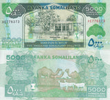 Somaliland 5000 Shillings 2011 P 21 a UNC