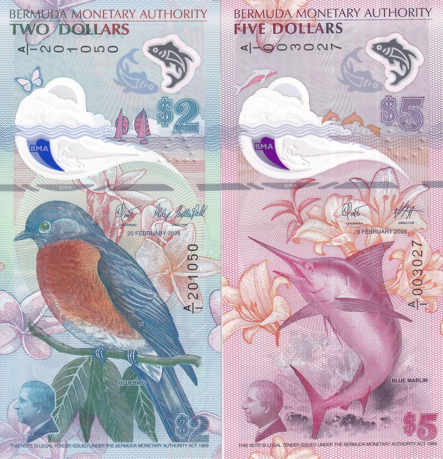 Bermuda – Noteshobby