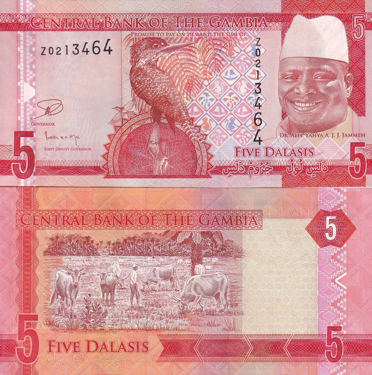 Gambia 5 Dalasis 2015 P 31 Z REPLACEMENT XF/AU , Giant kingfisher ,Cattle