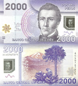 Chile 2000 Pesos 2014 P 162 d Polymer UNC Manuel Rodrigues Erdoyza
