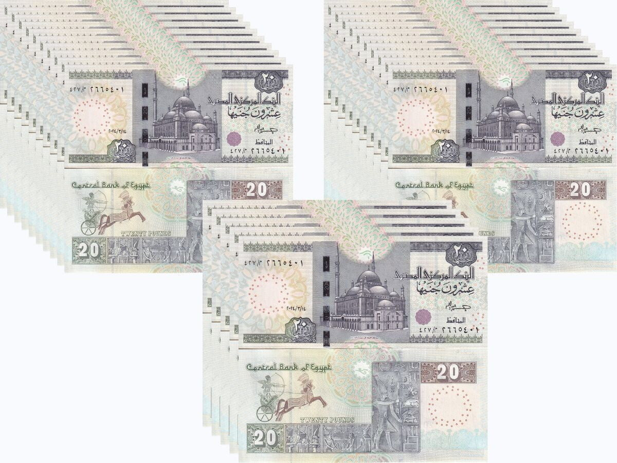 Egypt 20 Pounds 2024 P 74 UNC LOT 25 Pcs 1/4 BUNDLE