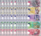 Maldives Set 5 x LOT 10 = 50 UNC 5 10 20 50 100 Rufiyaa 2017-2025 / 2026 Polymer