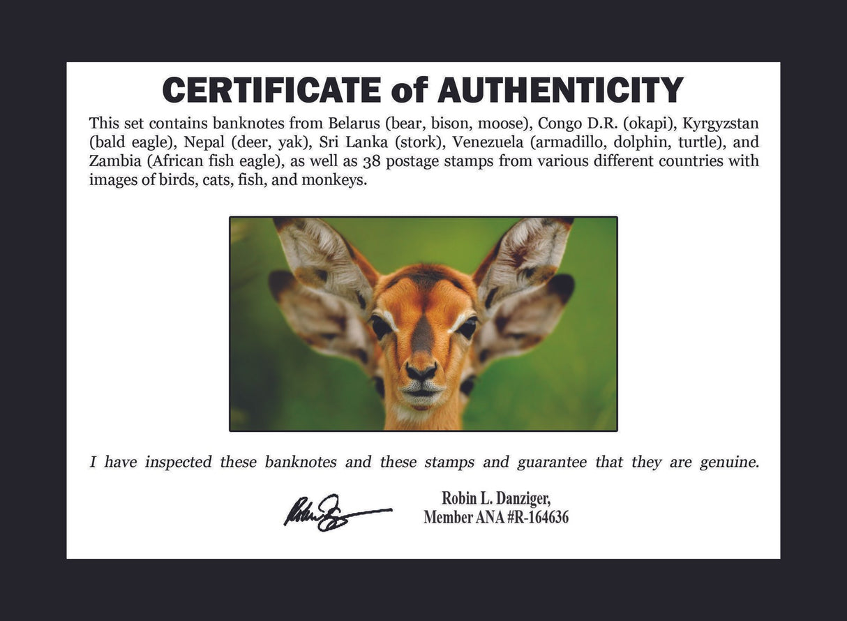 World Collectible Wildlife Set 50 Piece Collection of World Stamps