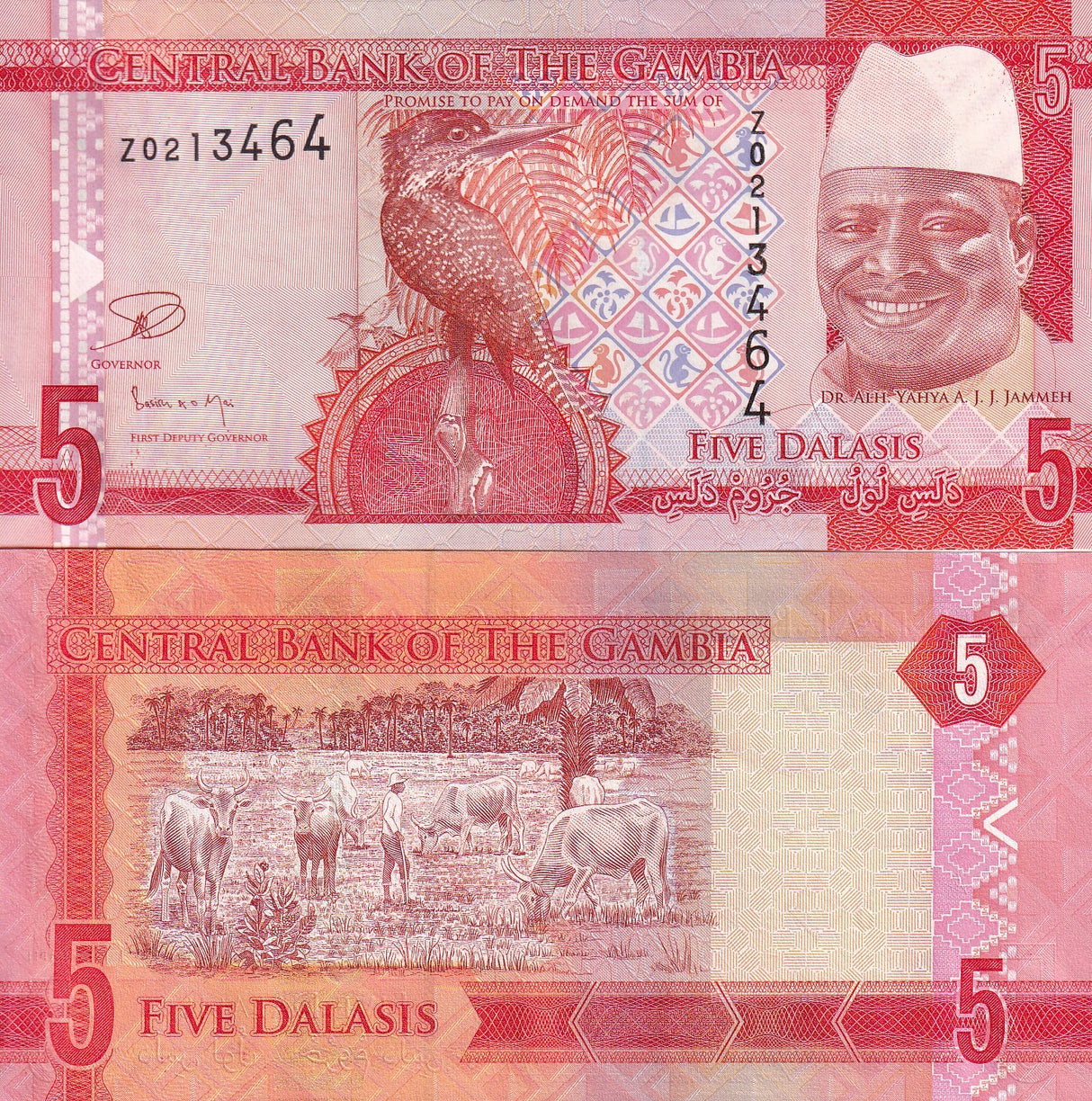 Gambia 5 Dalasis 2015 P 31 Z REPLACEMENT XF/AU