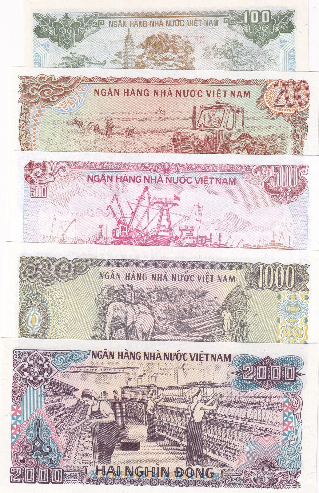Vietnam Set 5 Pcs 100 200 500 1000 2000 Dong P 100 101 105 106 107 UNC