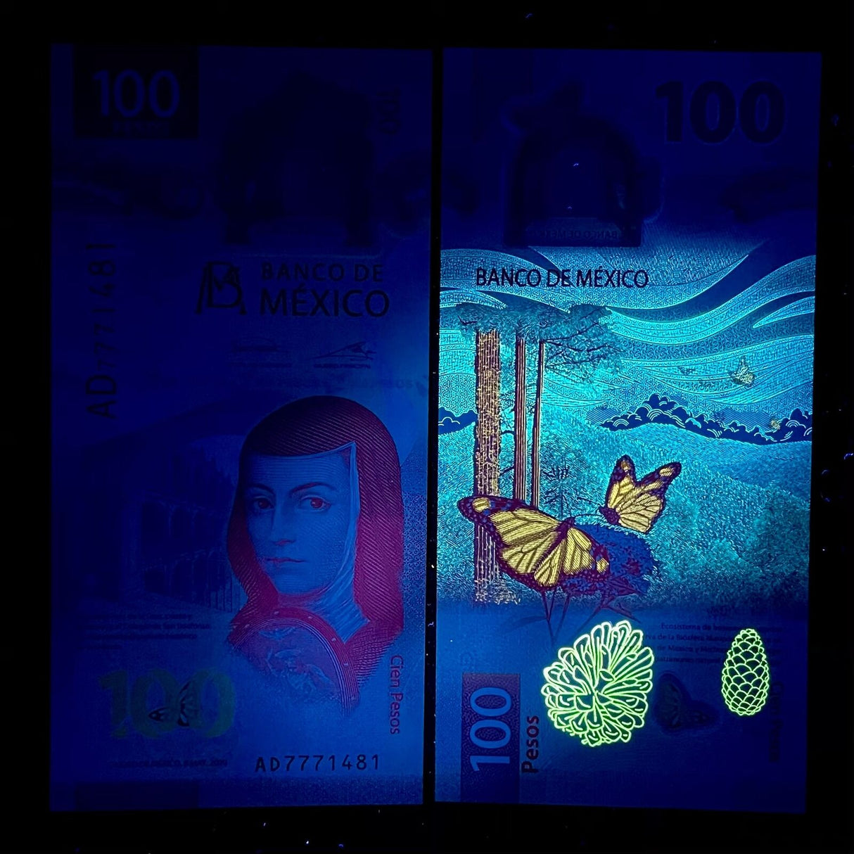 Mexico 100 Pesos 2020 P 131 a Polymer Random Prefix UNC