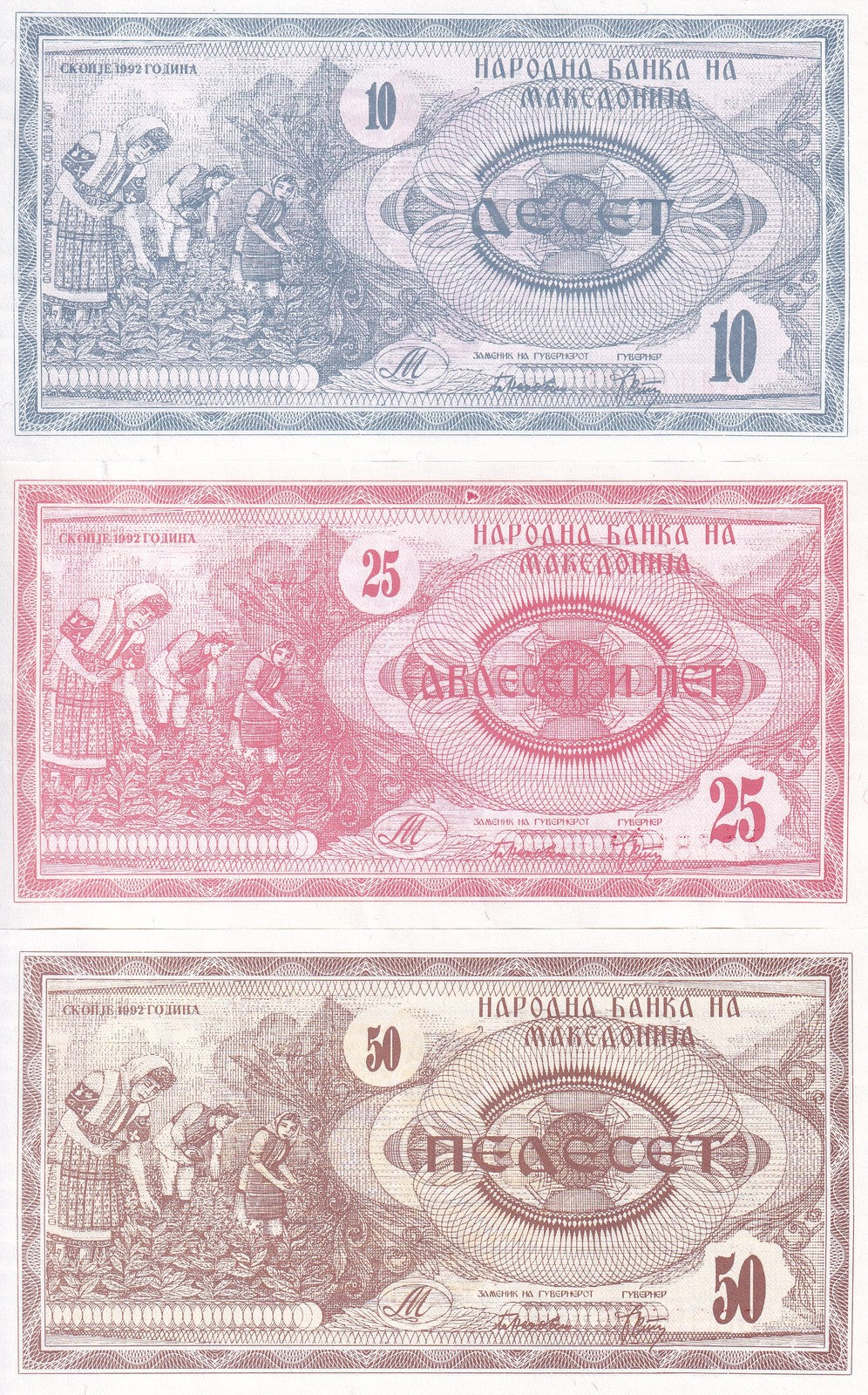 Macedonia Set 3 PCS 10 25 50 Denari 1992 P 1 P 2 P 3 UNC With Yellow Tone