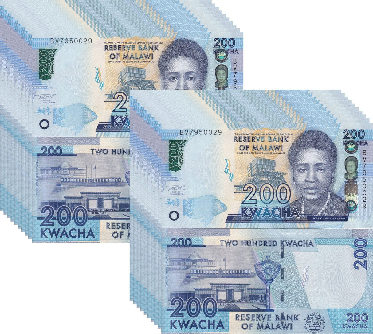 Malawi 200 Kwacha 2024 P 64A UNC LOT 20 PCS
