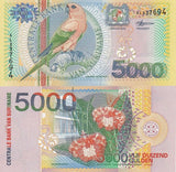 Suriname 5000 Gulden 2000 P 152 UNC