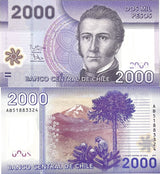 Chile 2000 Pesos 2015 P 162 e Polymer UNC ,Manuel Rodrigues Erdoyza