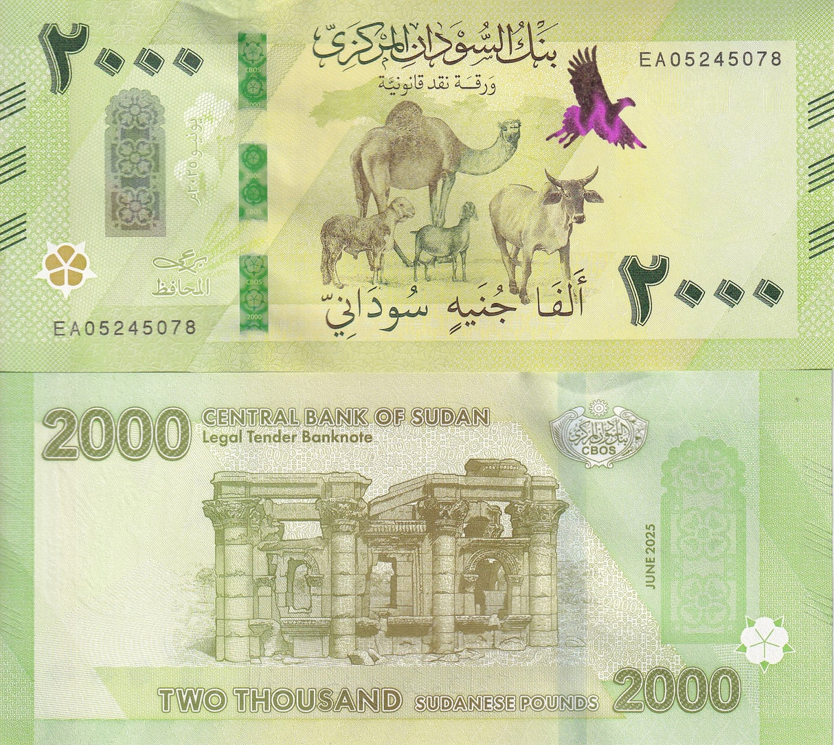 Sudan 2000 Pounds 2025 / 2026 P New Design CAMEL UNC