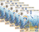 Test Note 025 Jellyfish Russia Goznak 2025 SEA LIFE NEW LOT 5 UNC