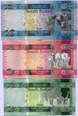 South Sudan Set 3 Pcs 1 5 10 Pounds ND 2011 P 5 6 7 UNC ,Giraffes, cattle