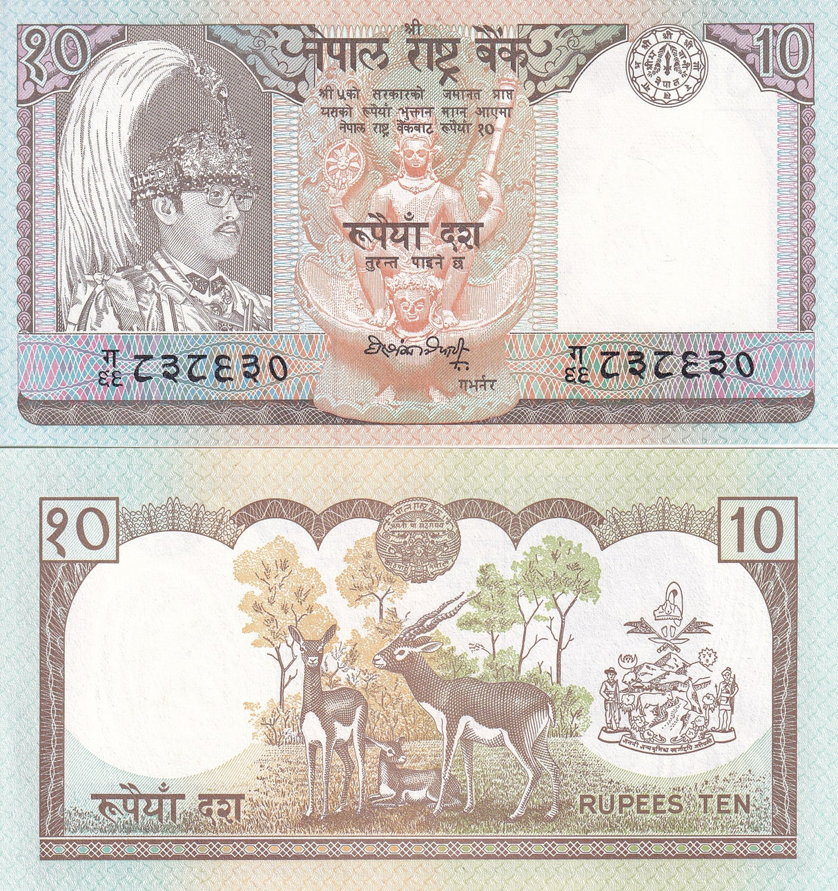Nepal 10 Rupees ND 1990-1995 P 31 a UNC