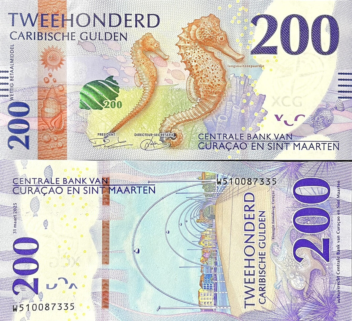 CURACAO & SINT MAARTEN SET 5 UNC 10-200 Gulden 2025 P 1 2 3 4 5 Seahorse
