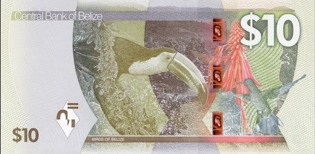 Belize 10 Dollars 2025 P 75 NEW Design Birds hornbill UNC